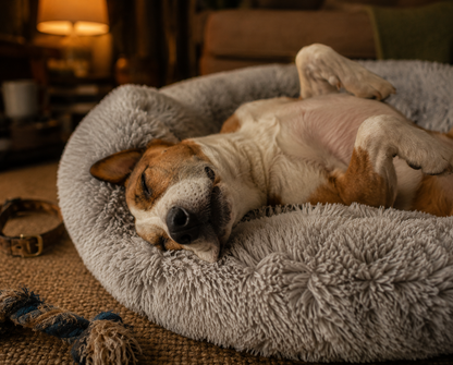 CalmSleep™ Calming Pet Bed
