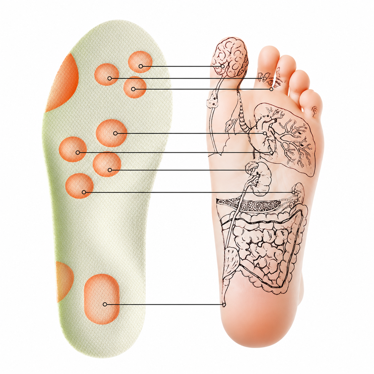 ComfortFlow™ Everyday Support Insoles