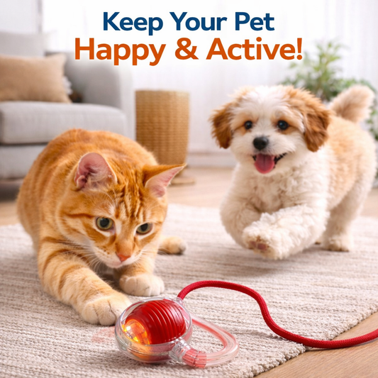 PetMind Interactive Smart Toy for Cats & Dogs + 50% Off Storewide + While Stock Lasts