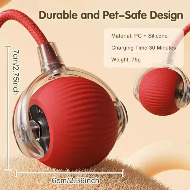 PetMind Interactive Smart Toy for Cats & Dogs + 50% Off Storewide + While Stock Lasts